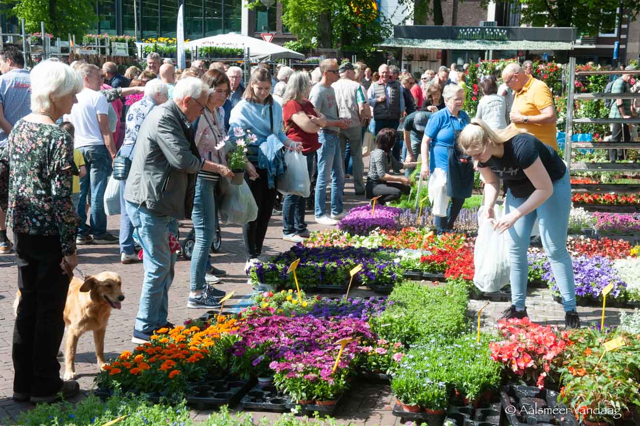 10 mei Geraniummarkt en braderie
